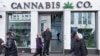 Marihuana - jedna od retkih stvari o kojoj se Amerikanci slažu pred izbore 