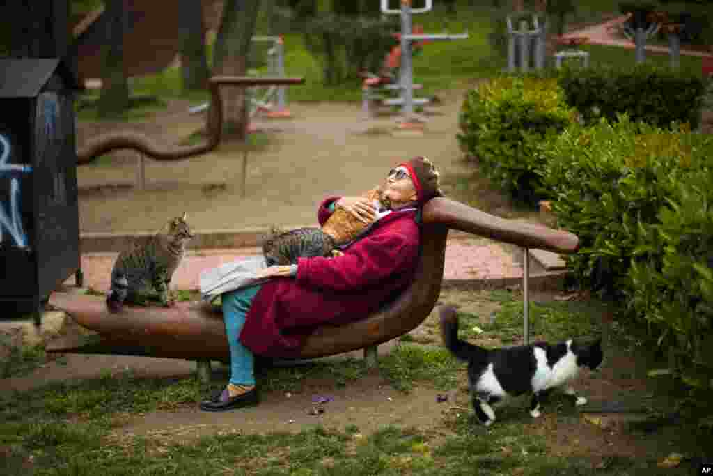 Cats lie on Tiraje Kestelli at Macka park in Istanbul, Turkey. Kestelli said she knew the names of every single cat that surrounded her and fed them food every single day. 