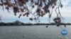16x9 Image