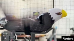 Fake bird drone