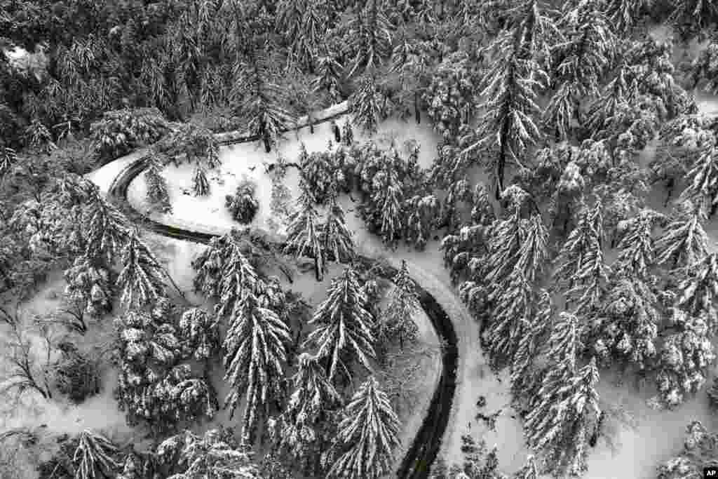 State Route 138 winds through snow-covered trees near Hesperia, California, March 1, 2023.