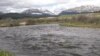 Nature | Pike National Forest