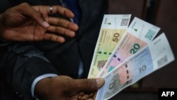 ZIMBABWE-CURRENCY-GOVERNMENT