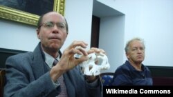 University of California Berkeley paleoanthropologist Tim White, left, displays a cast of fossil skeleton "Ardi," discovered in Ethiopia.