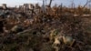 FILE - The bodies of dead Russian soldiers lie at the front line in Andriivka, in Ukraine's Donetsk region, Sept. 16, 2023.