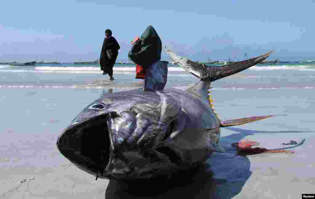 Somali women walk near a fish put on display by fishermen at the Liido beach in Mogadishu.