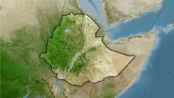 በሱሉልታ በኦሮሞ ነፃነት ሠራዊት ታጣቂዎች በተፈፀመ ጥቃት ሁለት ፖሊሶች ተገደሉ