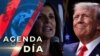 Donald Trump y Nikki Haley se enfrentan en Nuevo Hampshire en la carrera republicana por la Casa Blanca.