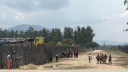 Trabalhadores de empresa chinesa de exploração de eucaliptos dizem que leis de trabalho são violadas – 3:13