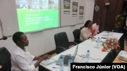 Esmeralda Mariano, na apresentação do estudo