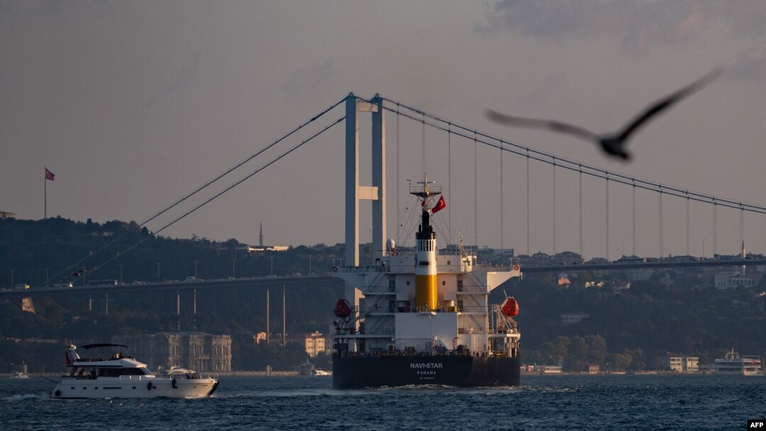 The Panama-flagged bulk carrier Navi Star carrying tons of grain from Ukraine sails along the Bosphorus Strait past Istanbul on Aug. 7, 2022, after being officially inspected. 