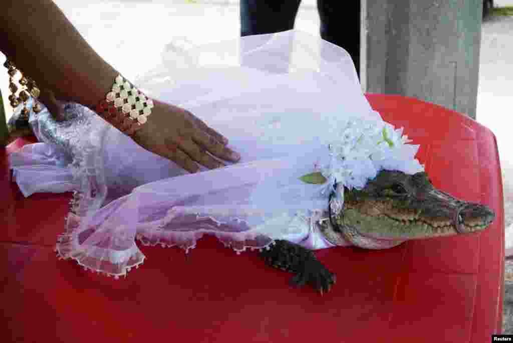 A woman touches a seven-year-old alligator dressed as bride for a traditional ritual marriage between the San Pedro Huamelula Mayor Victor Hugo Sosa and the reptile that depicts a princess, in San Pedro Huamelula, in Oaxaca state, Mexico, June 30, 2022. 