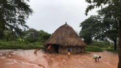 Chuvas alegram camponeses na Huila - 2:33