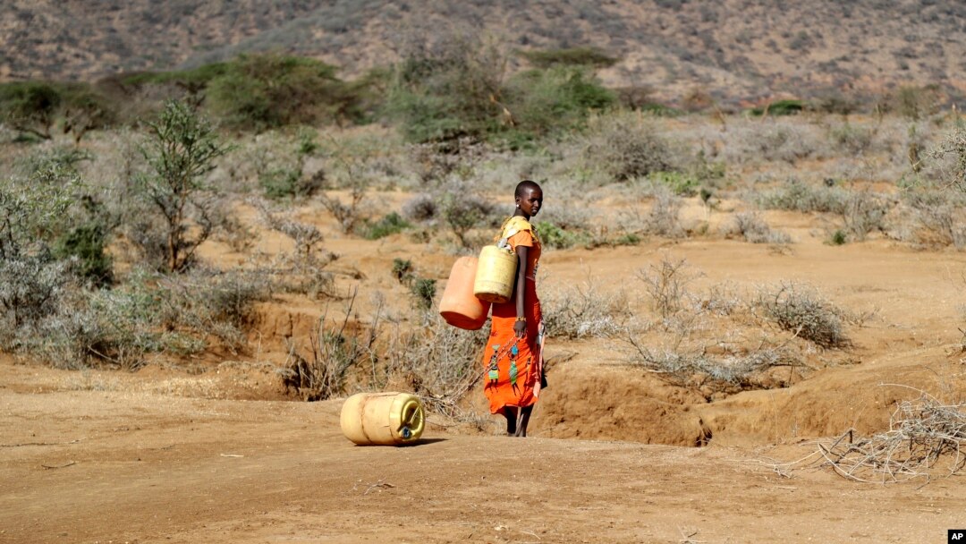 FILE - A Samburu woman fetches water during a drought in Loolkuniyani Primary School, Samburu County, Kenya, Oct. 16, 2022. (AP Photo/Brian Inganga, File)