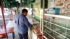 El Salvador: comerciantes y compradores impactados por alza en precio de comida