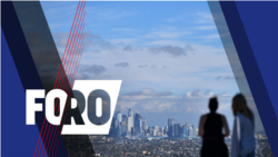 Foro (Radio): Cumbre de las Américas: desafíos y realidades