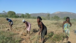 ADRA diz que não há êxodo rural – 2:24