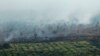 Indonesian Lawmakers Approve Southeast Asia Smog-fighting Pact