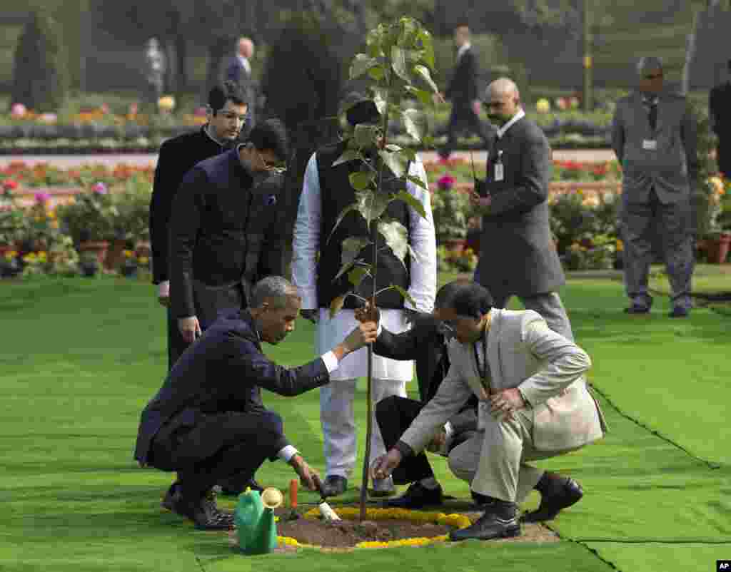 Tổng thống Hoa Kỳ Barack Obama tham dự một buổi lễ trồng cây tại Khu tưởng niệm Mahatma Gandhi ở New Delhi, Ấn Độ, ngày 25/1/2015.