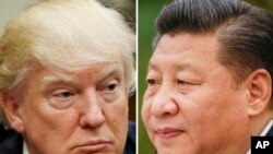 Tổng thống Donald Trump (bên trái) tại Washington, ngày 28/3/2017; và Chủ tịch Trung Quốc Tập Cận Bình tại Bắc Kinh, ngày 22/2/2017.