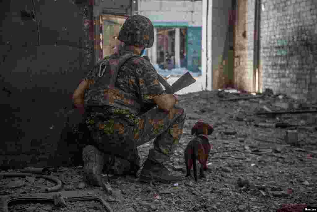 A Ukrainian service member and his dog observe the industrial area of the city of Sievierodonetsk, as Russia's attack on Ukraine continues.
