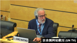 聯合國人權事務委員會委員卡洛斯·戈麥斯·馬丁內斯（Carlos Gomez Martinez）向香港特區政府代表團提問，2022年7月6日。（聯合國網站截圖）