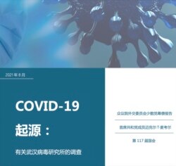 美國眾議院外交委員會少數黨有關新冠病毒起源和武漢病毒所的調查報告
