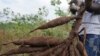 WFP: 17 African Countries Have Protracted Food Insecurity