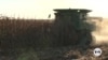 US farmers hope agriculture secretary pick guides tariff, farm bill legislation
