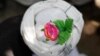 Pakistan Frees Key Afghan Taliban Leader