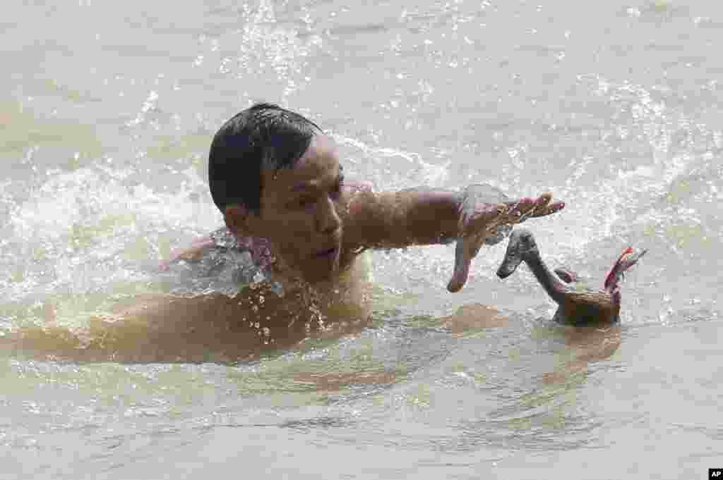 A man tries to catch a duck during a competition as a part of the Dragon Boat Festival, known locally as "Peh Cun Festival", on the Cisadane river in Tanggerang, Indonesia.