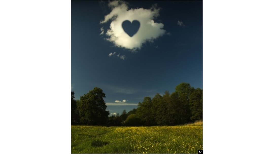 Yes, even love can be the subject of a student’s main academic curriculum.