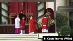 Pope Francis leads the Palm Sunday Mass in Saint Peter's Square, at the Vatican, Apr, 14, 2019. 