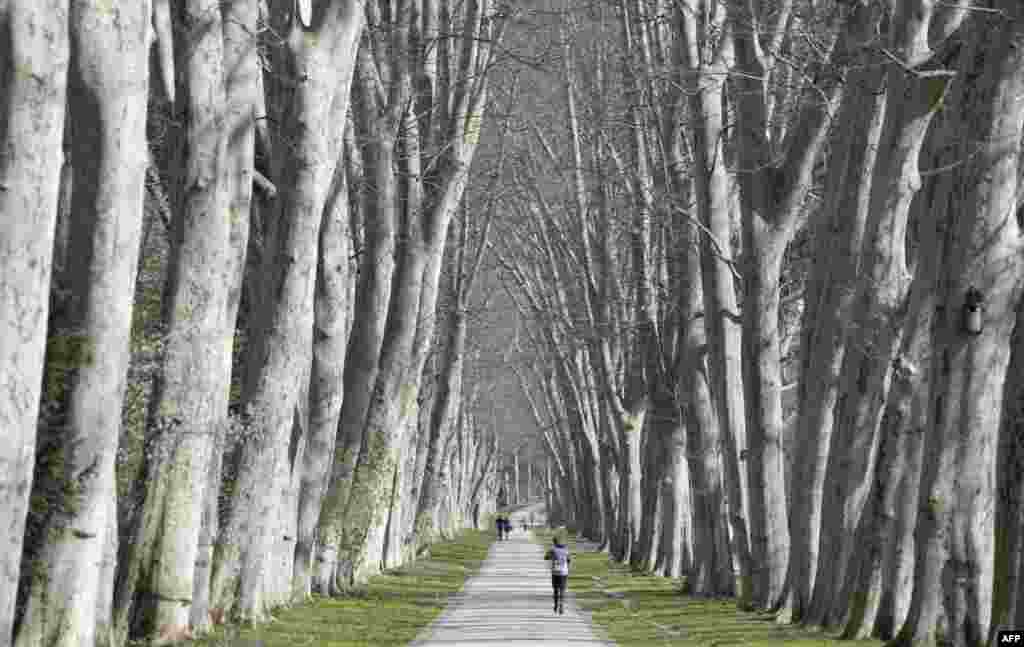 A jogger makes his way through an alley in a park in Stuttgart, southern Germany.