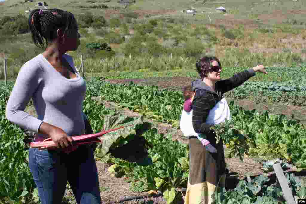 The home’s director, Alex Gunther, gives instructions to caregivers and patients as the day’s harvest begins on Ikhaya Loxolo’s farm (VOA/Taylor)