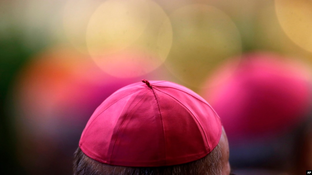 Comisión del Vaticano que investiga abusos sexuales a menores aseguró que las leyes actuales de la iglesia pueden responsabilizar a los obispos si no protegen a los niños.