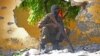 FILE - A Somali soldier guards a site where al-Shabab militants carried out a suicide attack against a military intelligence base in Mogadishu, June 21, 2015.