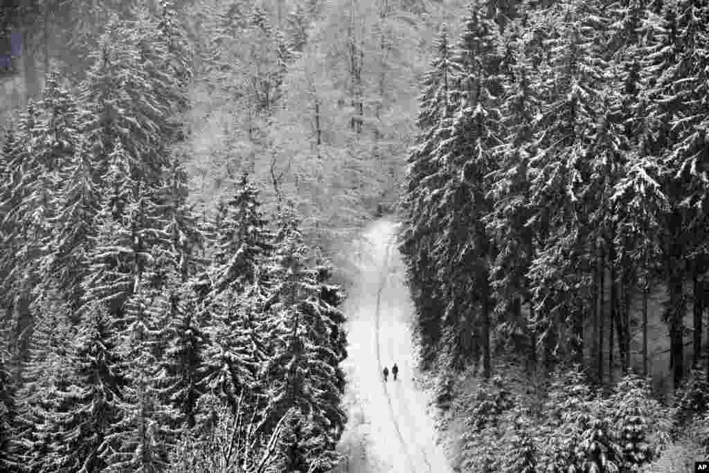 Tourists walk in the freshly snow-covered forest in Willingen, Germany.