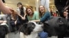 Colleges and Universities Say Yes to Pets