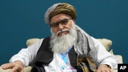 Ông Matiul Haq Khalis, lãnh đạo Cơ quan Bảo vệ Môi trường Quốc gia Afghanistan.