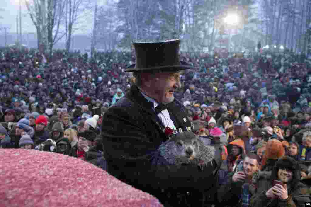 Groundhog Club co-handler John Griffiths holds Punxsutawney Phil, the weather prognosticating groundhog, during the 134th celebration of Groundhog Day on Gobbler's Knob in Punxsutawney, Pennsylvania.
