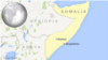 Al-Shabab Militants Kill 8 Somali Gov't Soldiers