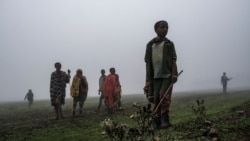 “ናይ ህላወ ቃልሲ:” ንዂናት ክልል ትግራይ ዝዝውር ዘሎ ሓድሽ ምዕራፍ ዓሌታዊ ምፍጣጥ