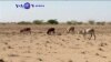 VOA60 AFRICA - DECEMBER 09, 2015