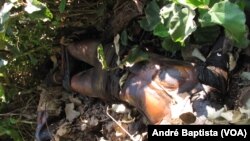 Corpos encontrados por camponeses perto da Gorongosa, em Sofala, Moçambique