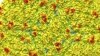 A representation of the surface of the Zika virus is shown. 