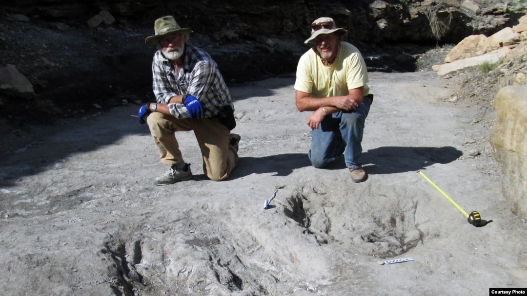 Researchers Martin Lockley, right, and Ken Cart pose beside large a dinosaur scrape they discovered in western Colorado. (Credit: University of Colorado-Denver)