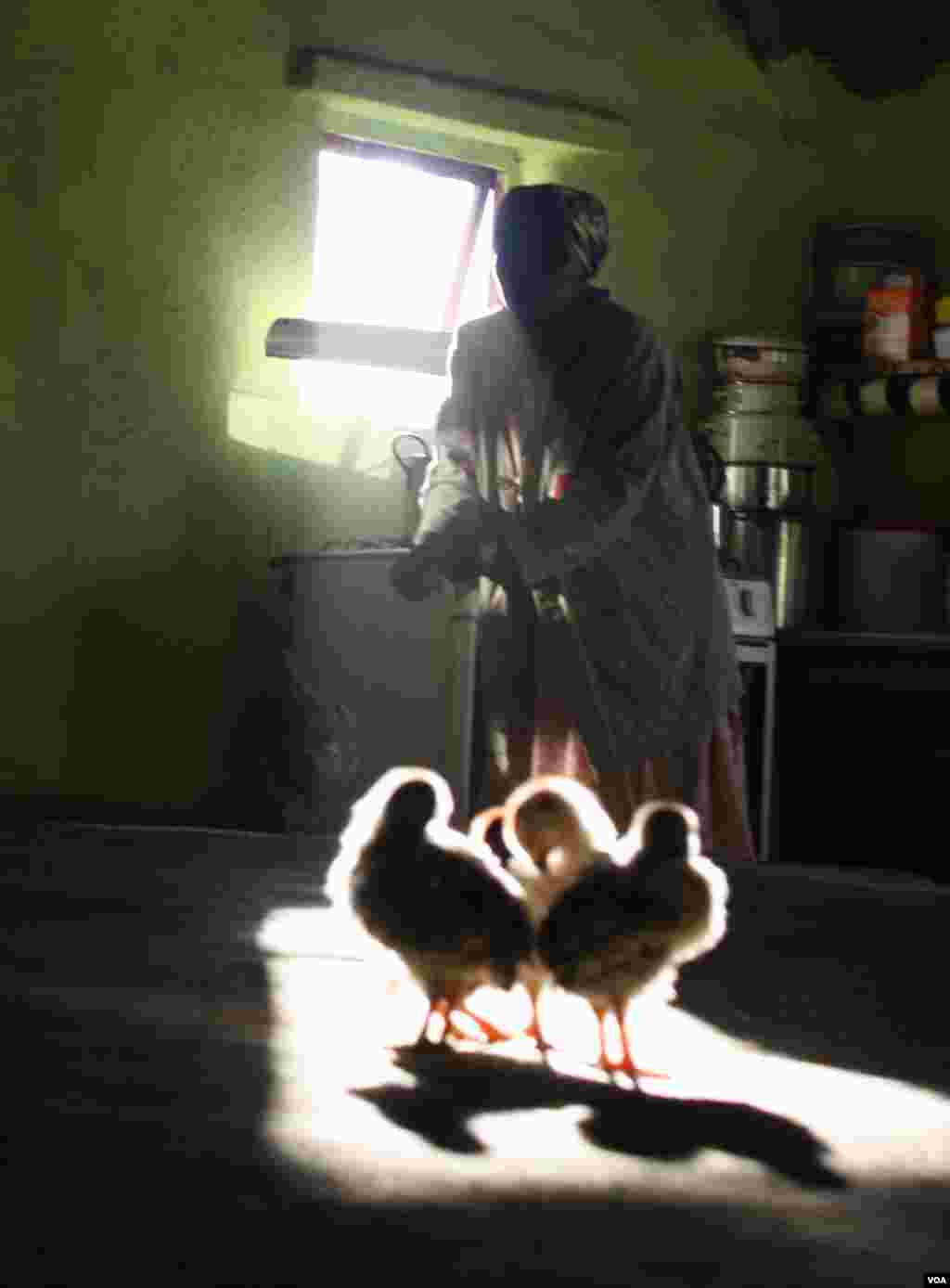 One of Ikhaya Loxolo’s female residents feeds chickens in the home’s dining hall (VOA/Taylor)