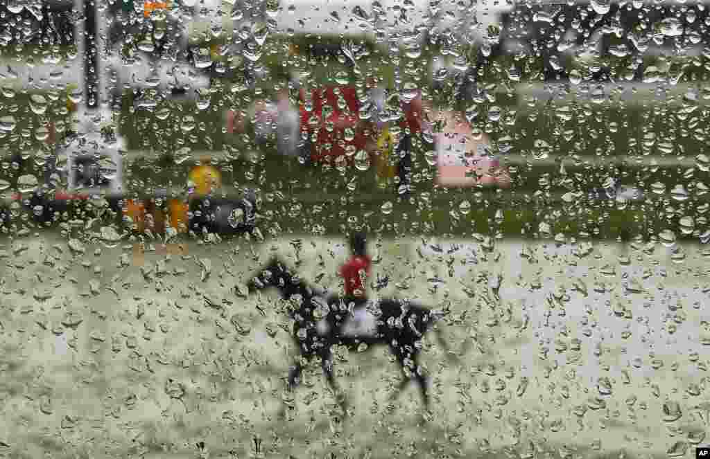 Seekor kuda melewati arena pacuan berlumpur setelah hujan, menjelang lomba balap kuda "Preakness Stakes" ke-141 di Baltimore, Maryland, AS.