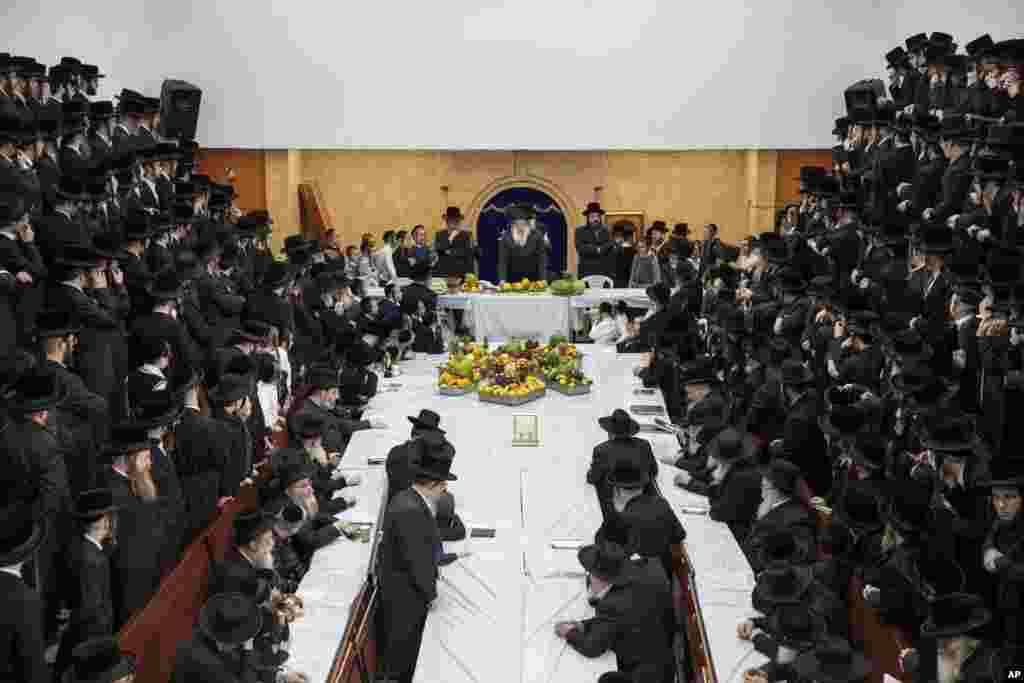 Ultra-Orthodox Jews of the Nadvorna Hasidic dynasty celebrate the Jewish feast of 'Tu Bishvat' or "New Year of the Trees" in the ultra-Orthodox town of Bnei Brak, Israel.